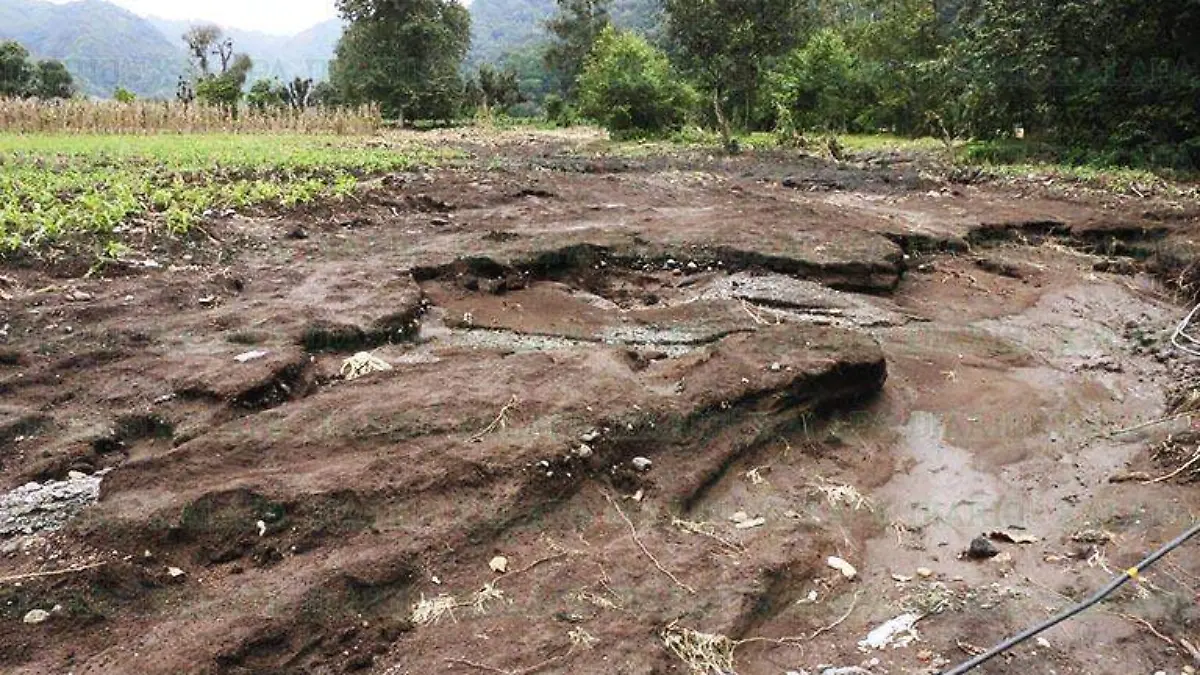 Afectaciones en el campo